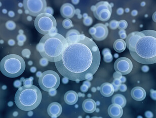 GUSIB - Brain Cancer